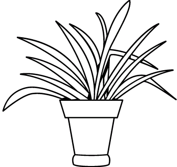 Växter 3