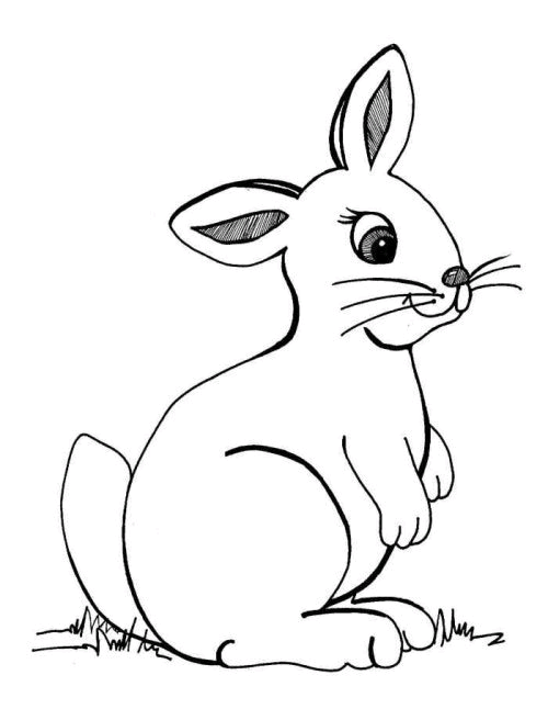 Kaniner 4