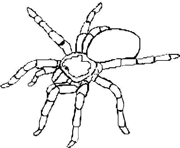Spindlar 4