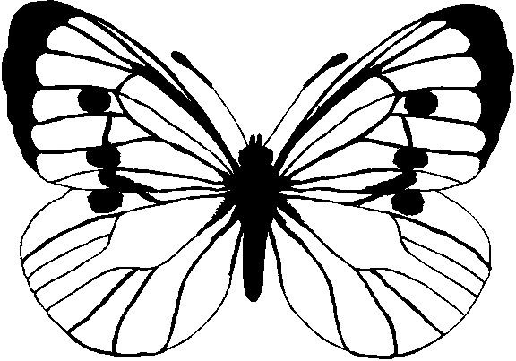Fjärilar 5