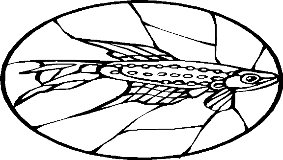 Fiskar 65