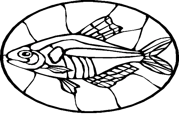 Fiskar 66