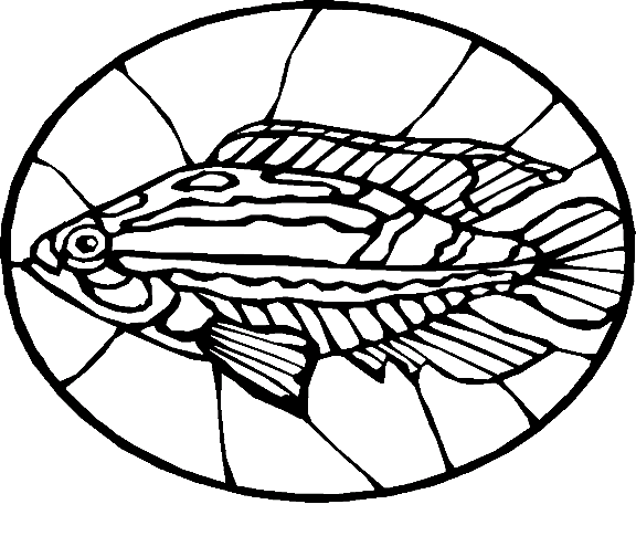 Fiskar 67