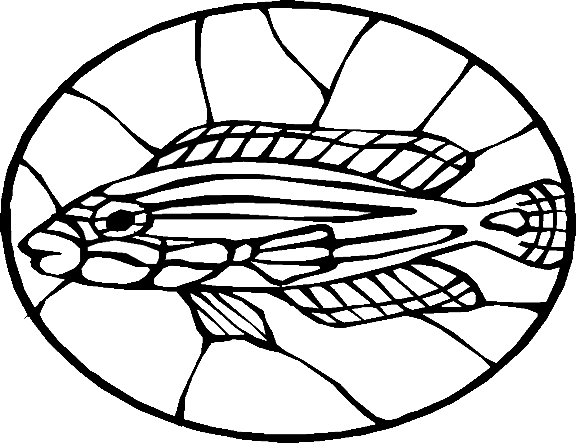 Fiskar 76
