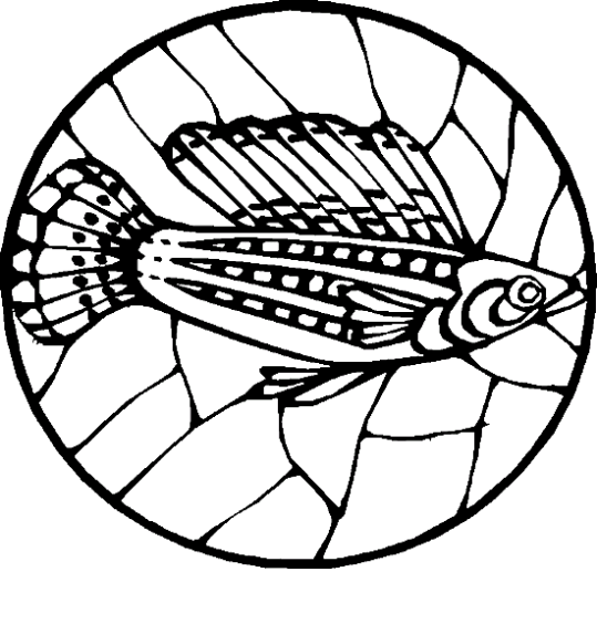 Fiskar 82