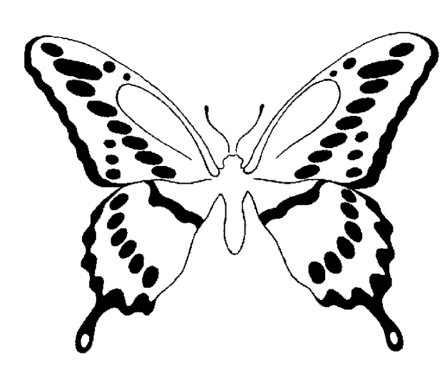 Fjärilar 10