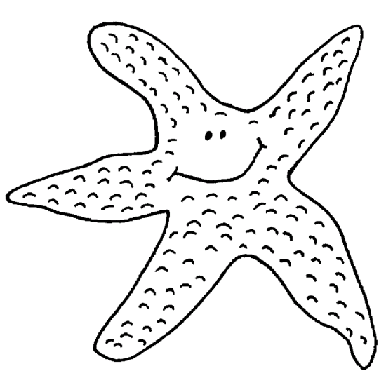 Sjöstjärnor 2