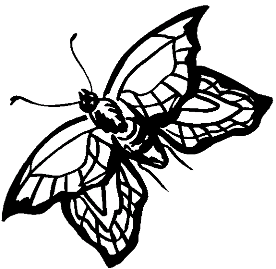 Fjärilar 12