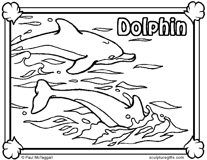 Delfiner 13