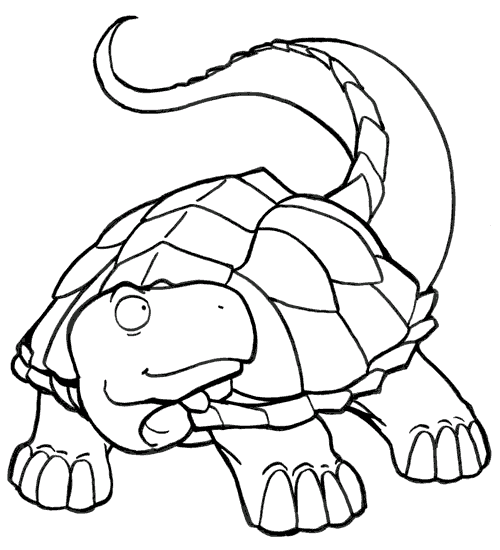 Sköldpaddor 5