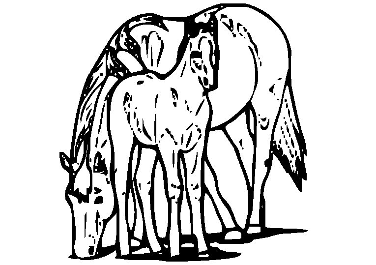 Hästar 31