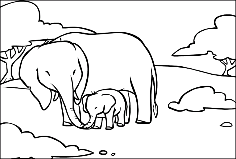 Elefanter 10
