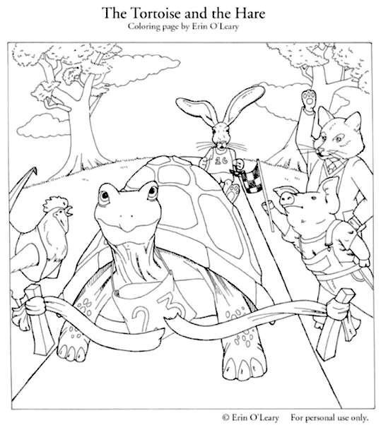 Sköldpaddor 6