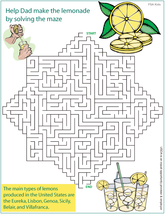 Labyrinter 50