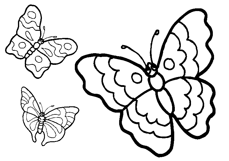 Fjärilar 18