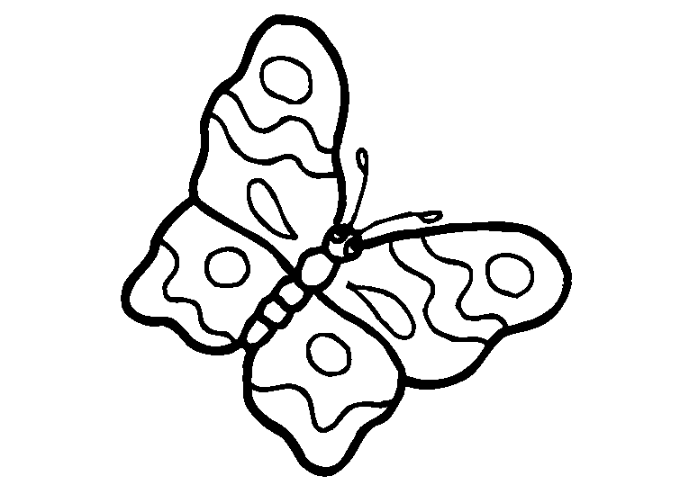 Fjärilar 19