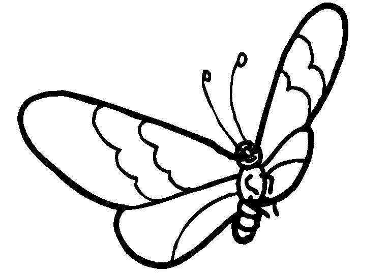 Fjärilar 20