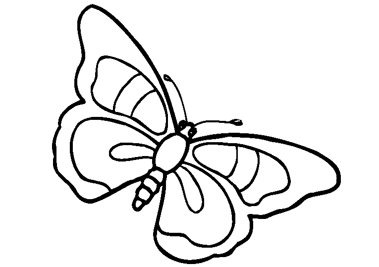 Fjärilar 21