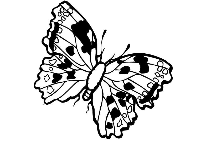 Fjärilar 27