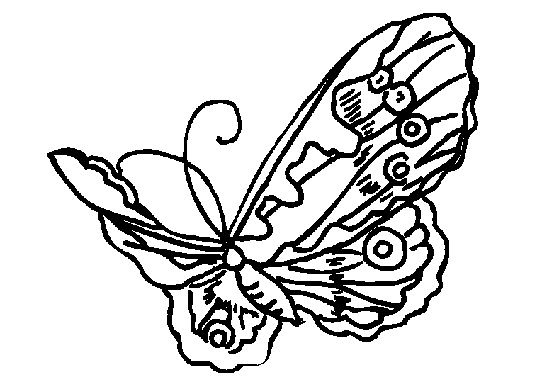 Fjärilar 31