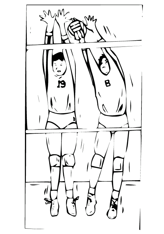 Volleyboll 11