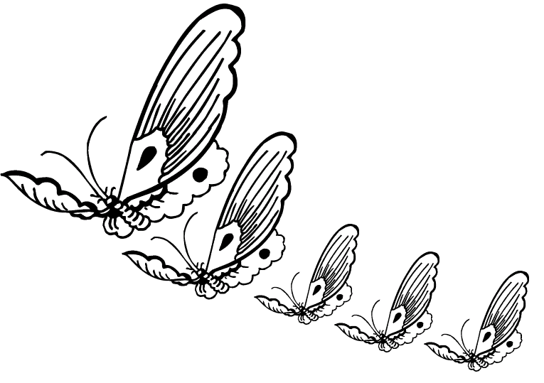 Fjärilar 33