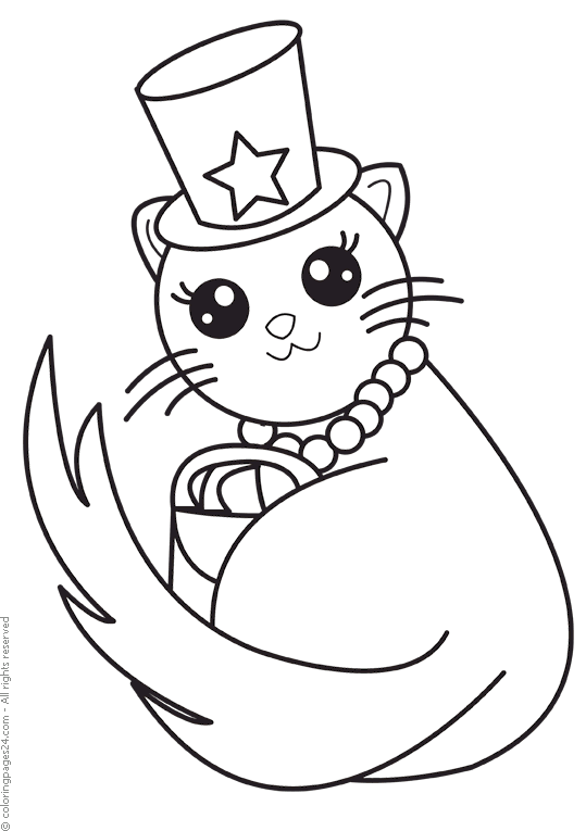 Katter 81