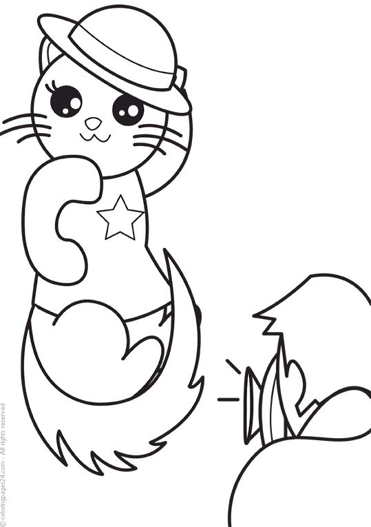Katter 82