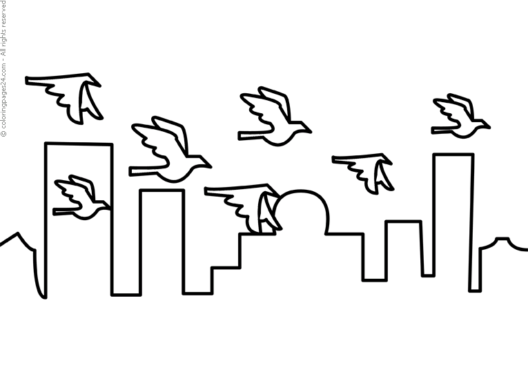Fåglar 17