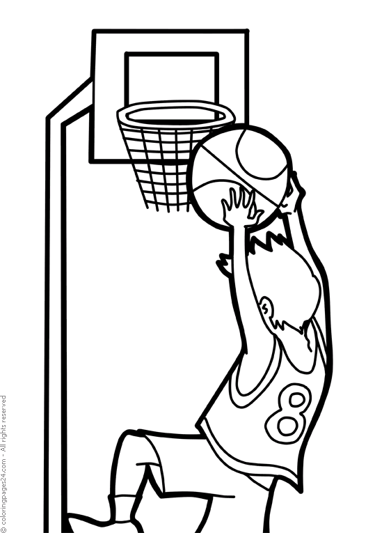 Basket 8