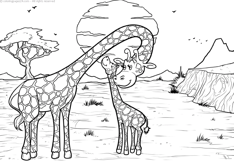 Giraffer 17