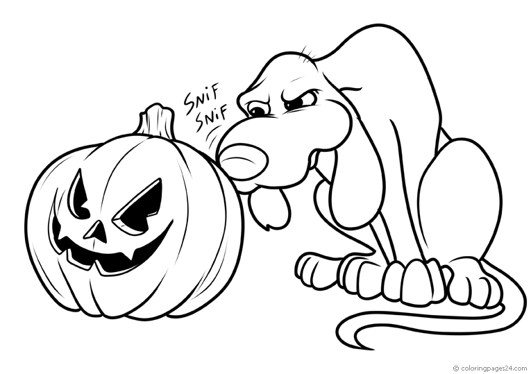 Hund sniffar misstänkt på en pumpa