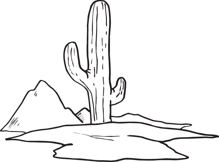 Kaktusar 8