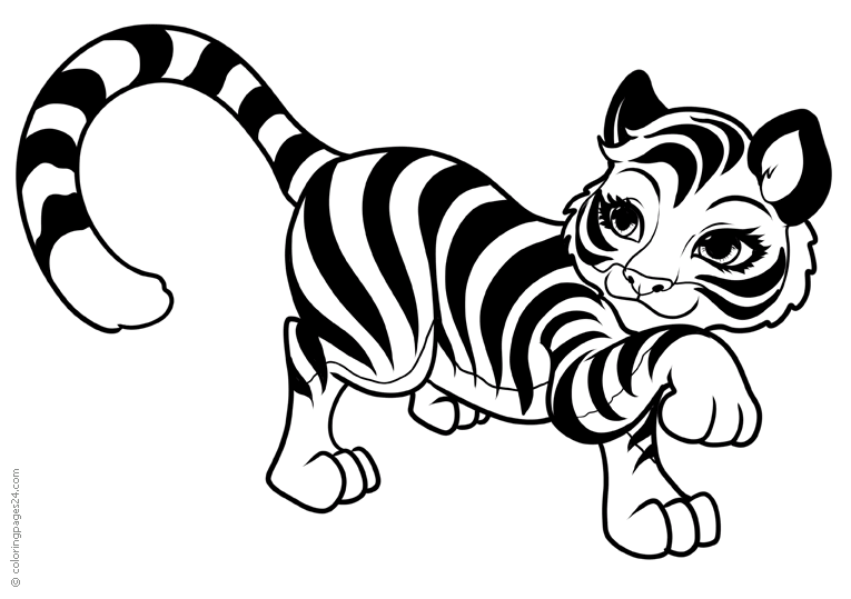 Tigrar 7