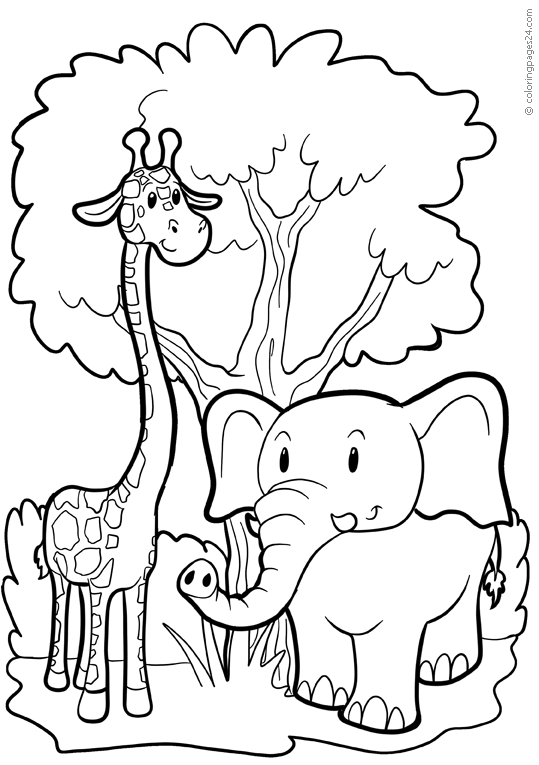 Elefanter 22