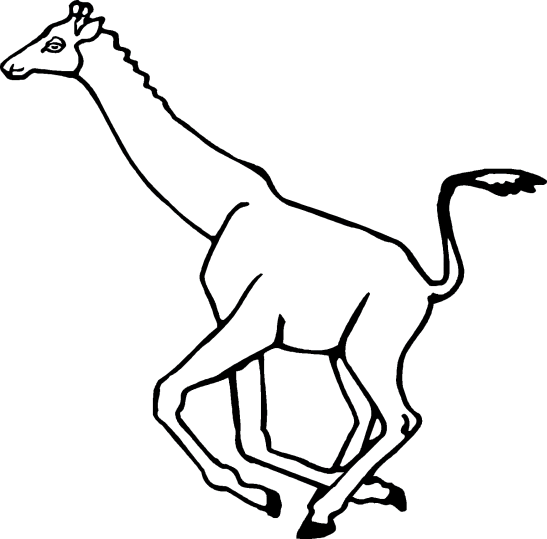 Giraffer 1