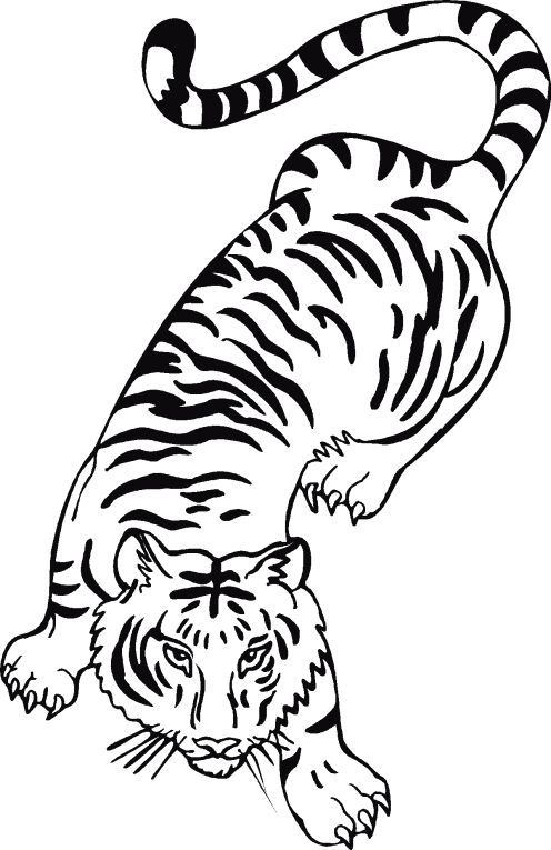 Tigrar 1