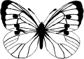 Fjärilar - 5