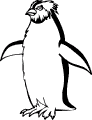 Pingviner - 1