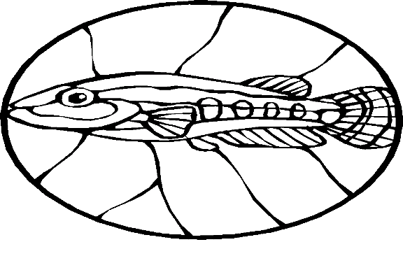 Fiskar 63