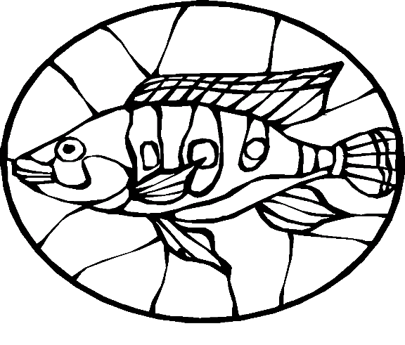 Fiskar 77