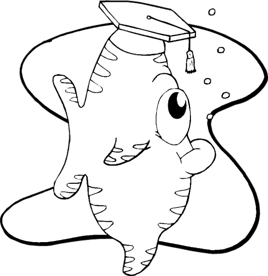 Fiskar 101