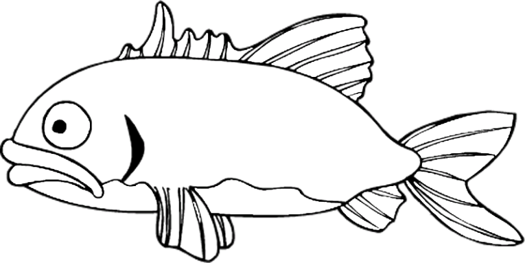 Fiskar 107