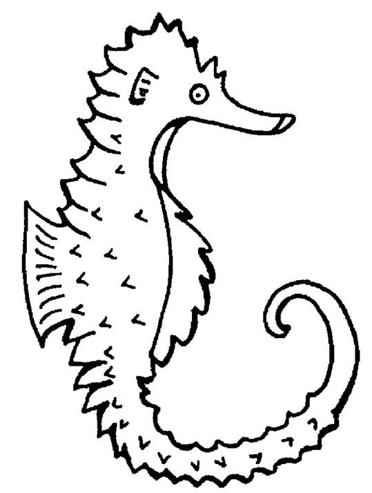 Sjöhästar 3