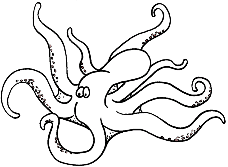 Bläckfiskar 2