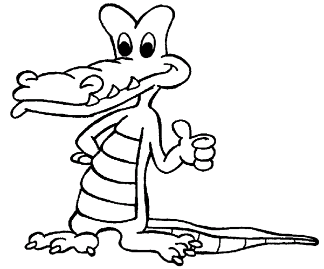 Alligatorer & Krokodiler 5