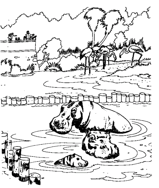 Övriga Djur 52