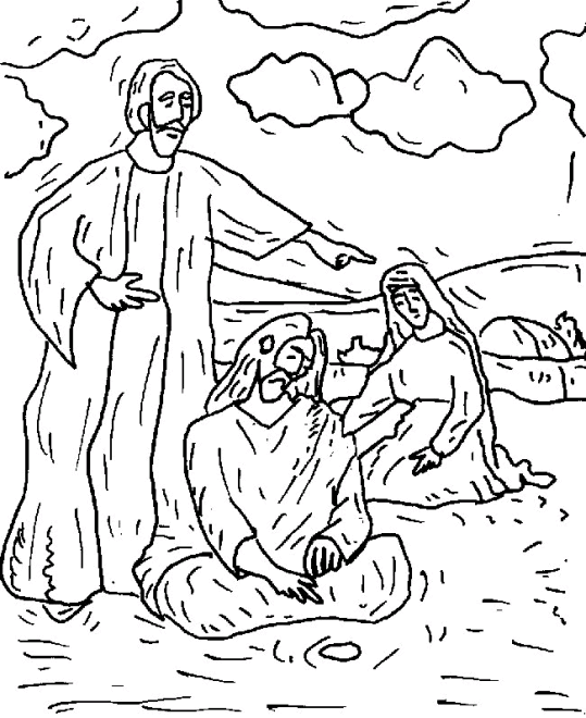 Nya Testamentet 19