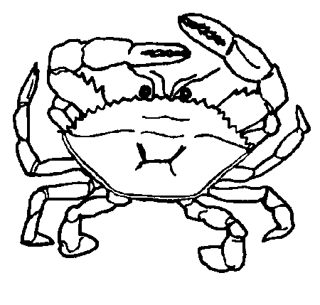 Skaldjur 41