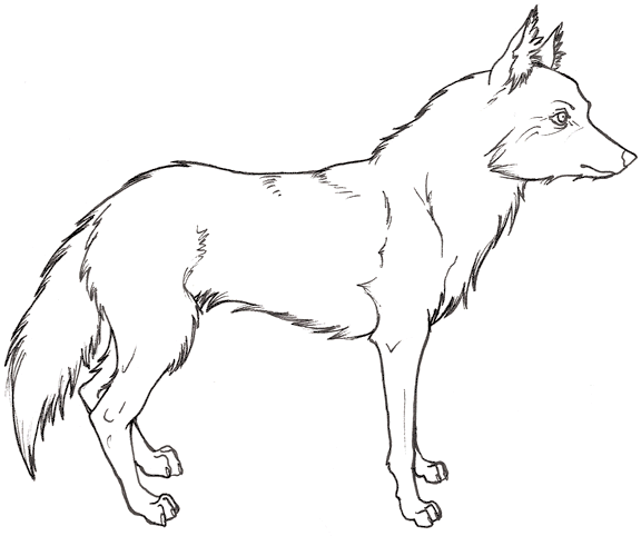 Vargar 3